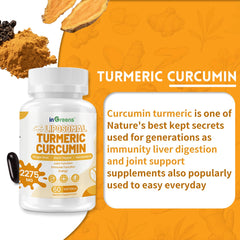 inGreens 95% curcumin label emphasizes potency and concentration