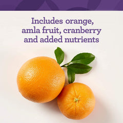 Innate Response Formulas C Complete Powder packaging closeup emphasizes Non-GMO kosher and allergen-free