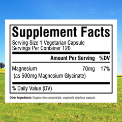 Innate Vitality Magnesium Glycinate 500mg capsule close-up showing chelated form for absorption.