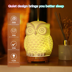 Inrorans Owl Diffuser auto shut-off ensures safe operation when water runs low