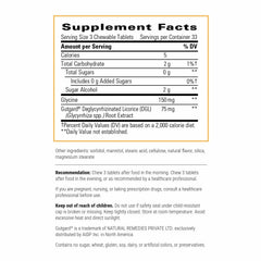 Integrative Therapeutics Rhizinate chewables close-up shows sugarless composition for convenient digestion