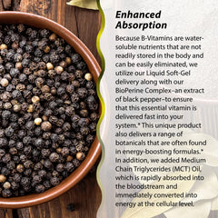 Irwin Naturals B-12 with MCT oil pour emphasizes quick absorption benefits.