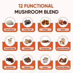 Itiban Mushroom Coffee with probiotics for digestive balance during your morning ritual.