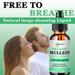 JINGYAT Mullein Drops cinnamon swirl promotes comfortable breathing and warming relief.