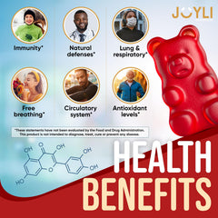 JOYLI Quercetin Gummies bottle back shows bromelain, zinc, vitamins C and D3 for daily wellness.