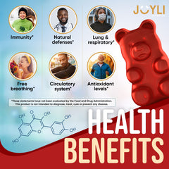 JOYLI Quercetin Gummies 2-pack with bromelain for convenient daily immune support.