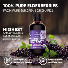Nordic-farmed elderberries harvest emphasizes European origin and purity.