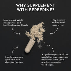 Just Ingredients Berberine Complex label details with third-party testing.