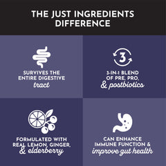 Just Ingredients Elderberry Lemonade glass ready to enjoy with bright natural flavor