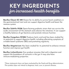 Just Ingredients Elderberry Lemonade ingredients label highlighting organic vegan formula