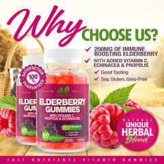 Just Nutrients Elderberry Gummies raspberry gummies closeup highlighting soft texture and flavor