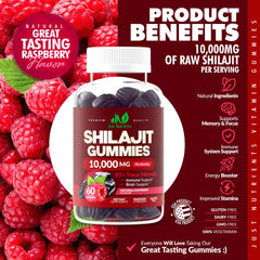 Just Nutrients Shilajit gummies gluten-free badge emphasizes clean, plant-based ingredients
