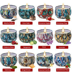 JXDLSQ Cinnamon Apple candle for warm seasonal scent