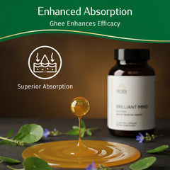 Kerala Ayurveda Brahmi Pearls capsules on desk beside notes for study focus.