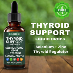 Kindled Thyroid Support Drops dropper showing precise 4 ml daily dose.