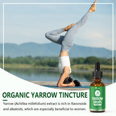 Close-up of KingHealth Yarrow tincture dropper and bottle for easy dosing