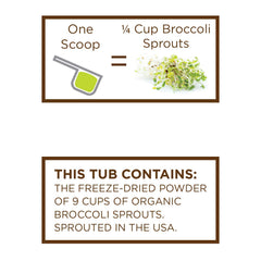 KOYAH close-up of freeze-dried broccoli sprout powder texture.
