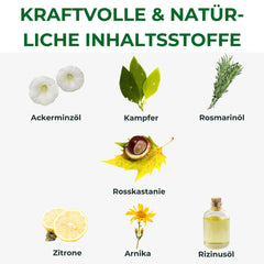 Krauterhof Horse Balm ingredients-horse-chestnut-arnica highlighting natural herbal blend