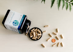 KSM66 Ashwagandha-Envisionary Easy Sleep packet highlight for nighttime support