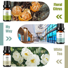 KURJIME Lemon & Thyme diffuser oil bottle adds bright, refreshing notes to any room.