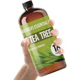Lab Bulks Tea Tree Oil 16oz bottle for large DIY projects
