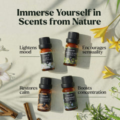 Lagunamoon Rosemary fragrance oil bottle for herbal aroma at home.