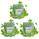 LAMKHOO spearmint core pack front view for daily refreshing aroma