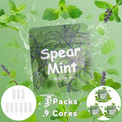 LAMKHOO spearmint core pack sealed packs preserve freshness for on the go use