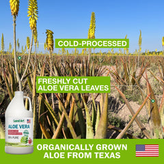 Close-up pour of Land Art Aloe Vera Juice with pomegranate flavor for hydration