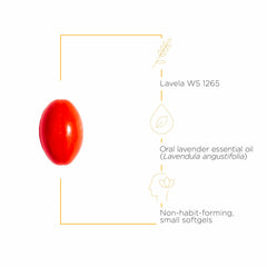 Lavela WS1265 label detail highlighting dairy-free and non-habit-forming notes.