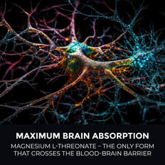 Leaping Lynx Pure Magnesium L-Threonate label emphasizes clean-label formula and high absorption.