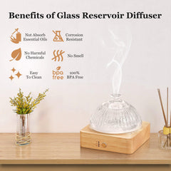 Lecdura diffuser features a glass dome showcasing artisan craftsmanship.