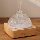 Lecdura glass diffuser with glass reservoir for pure aroma diffusion.