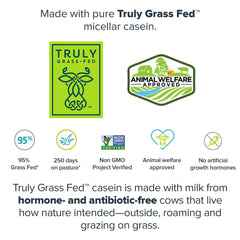 LEGION Casein Night Recovery glass highlighting slow-release overnight nutrition