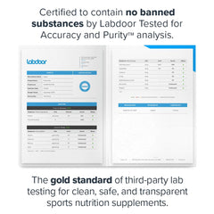 LEGION protein bar chocolate peanut butter baked texture close-up for a chewy bite.