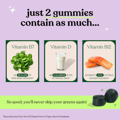 Lemme Greens closeup texture shows chewy berry-flavored greens for daily wellness.