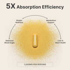 Close-up of Leotri berberine capsules for easy daily dosing