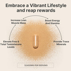 Leotri Ultra Strength T-Booster label close-up listing Tongkat Ali and Ashwagandha benefits