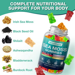 Letollhold Sea Moss Gummies with Ashwagandha and Bladderwrack ingredients showcase natural wellness blend.
