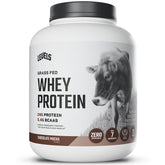 Levels Grass Fed Whey Powder in chocolate mocha for post-workout recovery