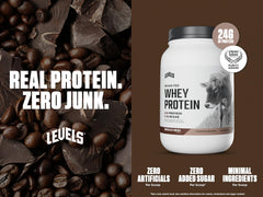 Levels grass-fed whey protein scoop showing 24 g protein per serving