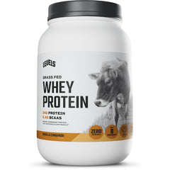 Levels Grass-Fed Whey Vanilla Cinnamon powder for smooth post-workout shakes