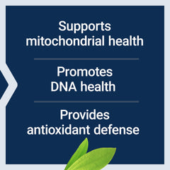 Life Extension Chlorophyllin ingredients glass highlights non-GMO, gluten-free sourcing.
