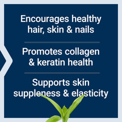 Life Extension Collagen Plus nails close-up signals growth and breakage resistance