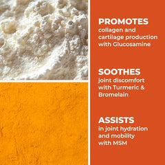 Mobili-T ingredients chart featuring MSM, chondroitin, collagen, glucosamine and turmeric.