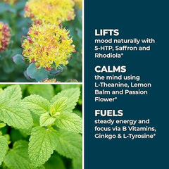 LifeSeasons Mood Stabili-T capsule close-up conveys a calm mind and balanced focus.