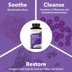 LifeSeasons Urinari-X ingredients illustration featuring cranberry and D-mannose blend for urinary wellness.