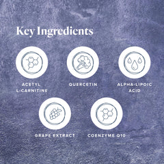 LifeVantage Protandim NRF1 Synergizer NRF1 pathway activation graphic highlights energy potential.