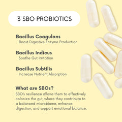 Lifted Naturals shelf-stable probiotic bottle designed for easy, on-the-go use.