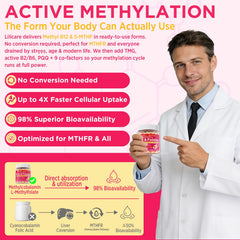 5-MTHF and MethylB12 gummies illustration showing methylation support